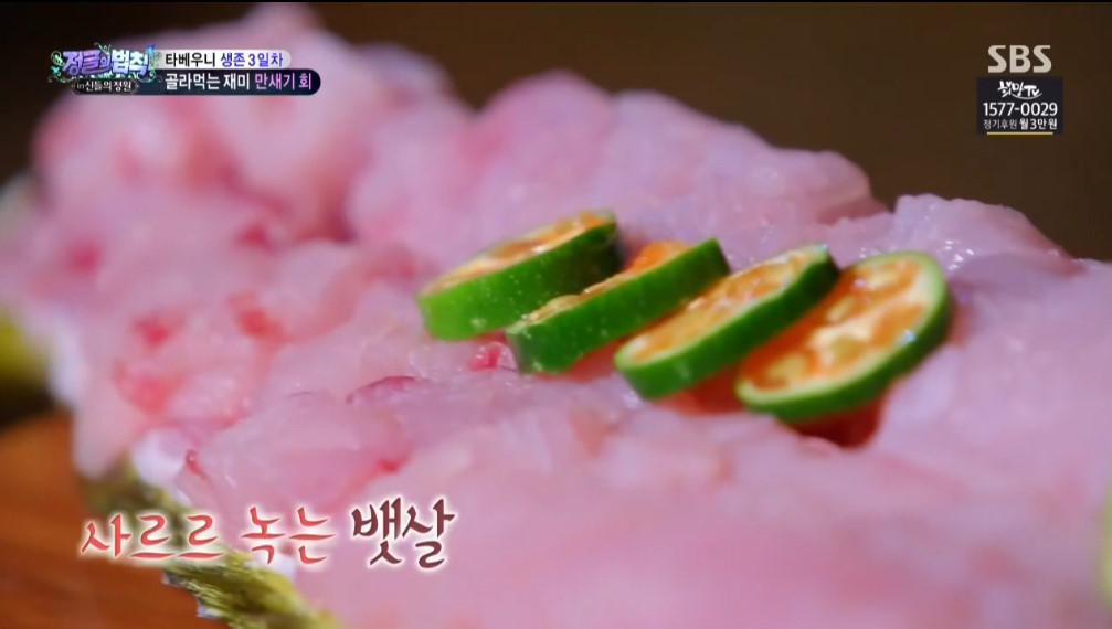 오늘자 정글의법칙 이태곤 회뜨기 클라스 | 인스티즈