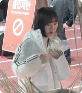 여자친구 은하가 존경하는 인물.gif | 인스티즈