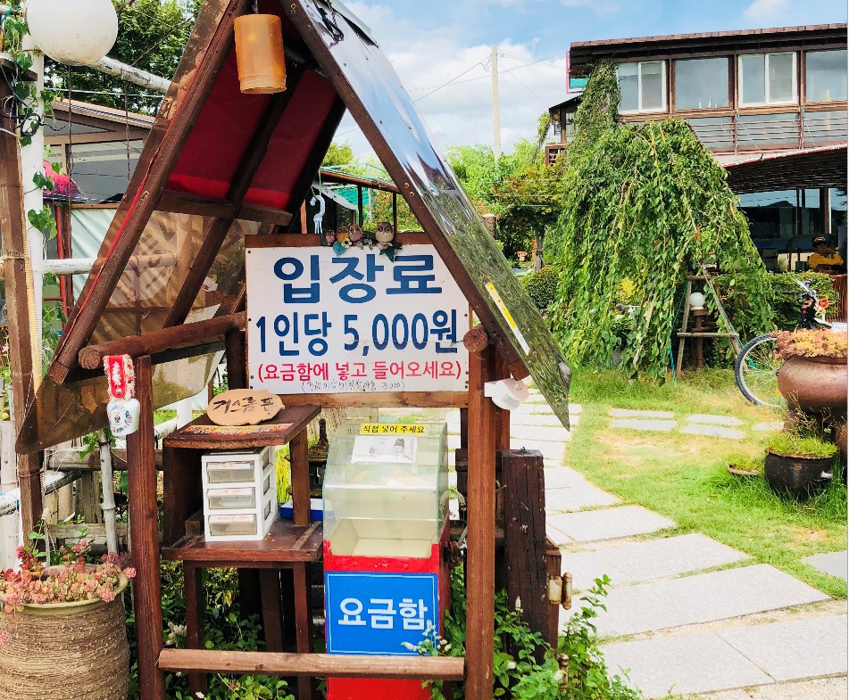 금빛머리 이미지