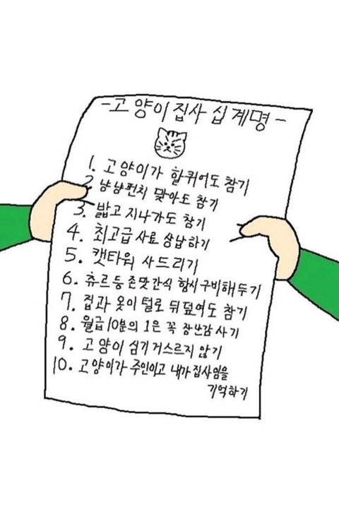 고양이 집사 십계명 | 인스티즈
