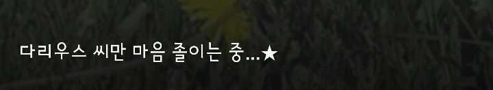 다리 다친 아기사슴을 구해주면 생기는 일.gif (데이터30MB) | 인스티즈