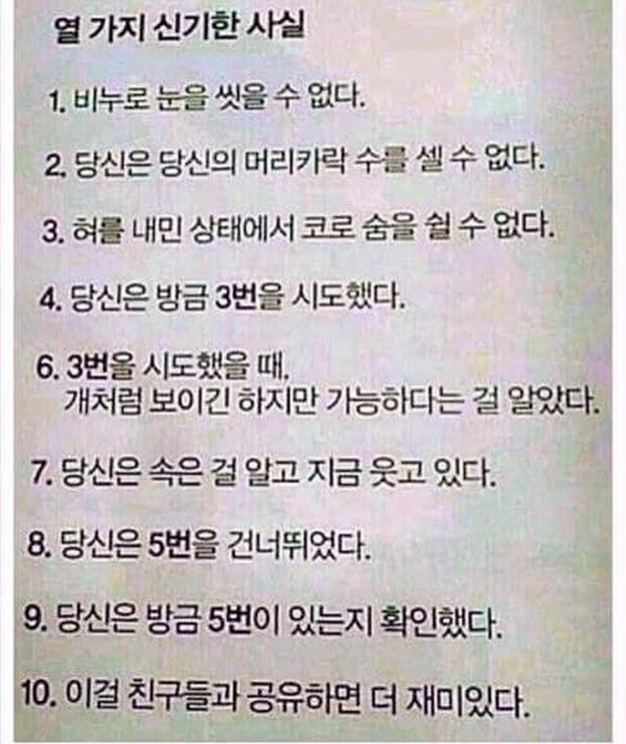 열가지 신기한 사실 | 인스티즈