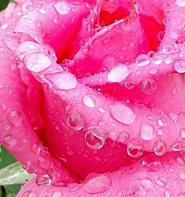 99852A4F5CE0E14105C8A2