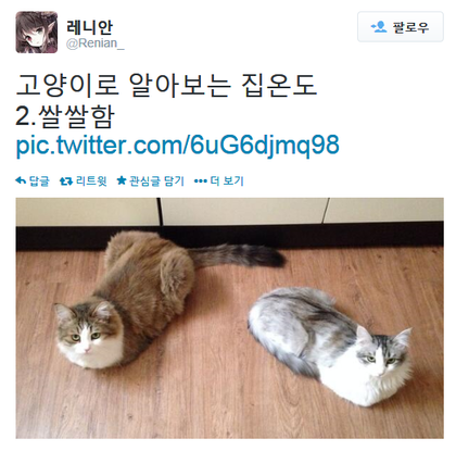 고양이로 알아보는 집온도 | 인스티즈