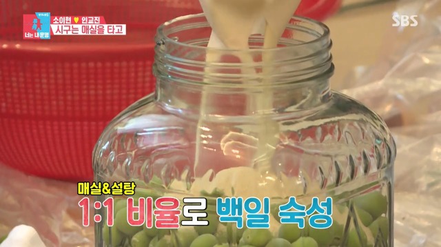 [동상이몽2] 매실주 담는게 너무 행복한 소이현 | 인스티즈