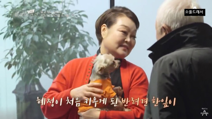  빅마마 이혜정의 스트릿출신 반려견들 (귀여움주의) | 인스티즈