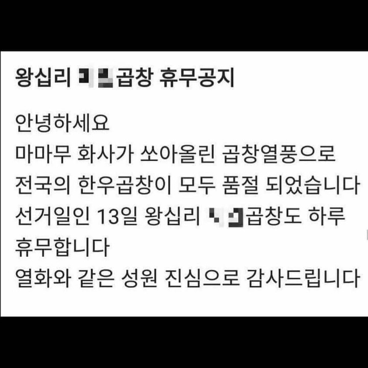 화사가 쏘아올린... | 인스티즈