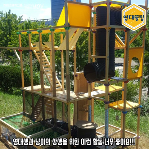 교내 길고양이들한테 밥 주지 말라는 학교 | 인스티즈