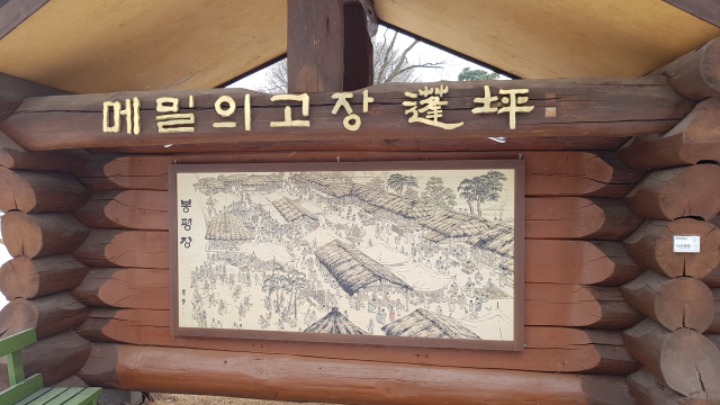 봉평고원메밀 이미지