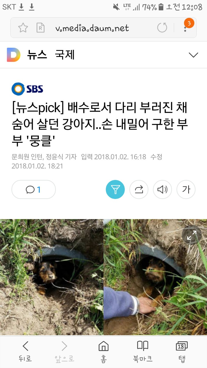 배수로서 다리 부러진 채 숨어 살던 강아지..손 내밀어 구한 부부 '뭉클' | 인스티즈