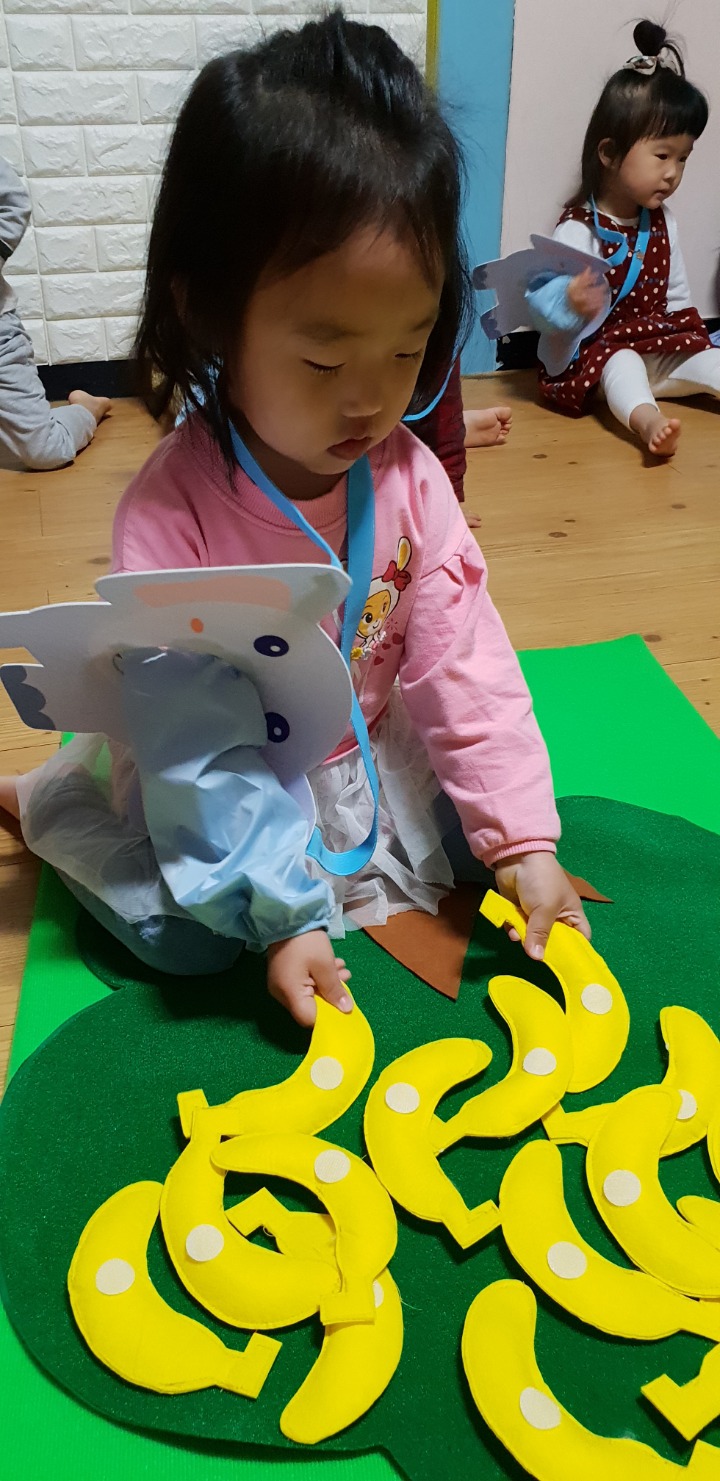 뮤직카토 이미지