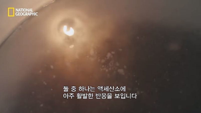 다이아몬드 진품과 모조품을 구분 실험.jpg | 인스티즈