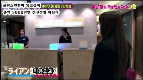 프랑스 인형이 되고싶어 총액 3000만엔 전신성형한 바닐라 | 인스티즈