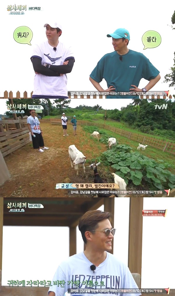 삼시세끼 이서진의 네이밍 센스 ㅋㅋㅋㅋ | 인스티즈