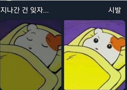 소심한 사람들 특징 | 인스티즈