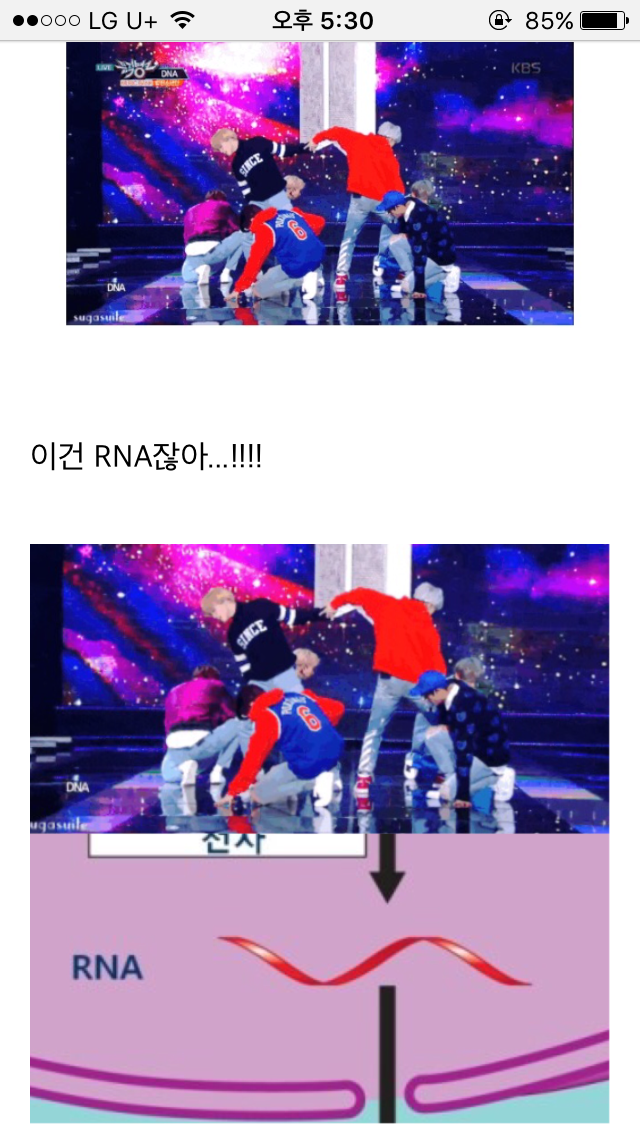 방탄소년단 DNA 가사가 신경쓰이는 이과생들의 외침 모음.jpg | 인스티즈
