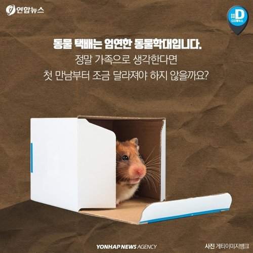 택배 상자 안에서 죽어가는 반려동물들 | 인스티즈