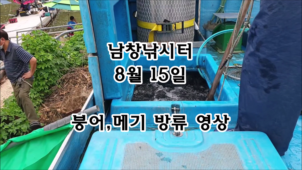 붕어랑메기랑 이미지