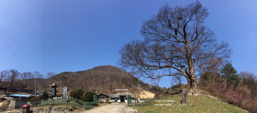 천비산 이미지