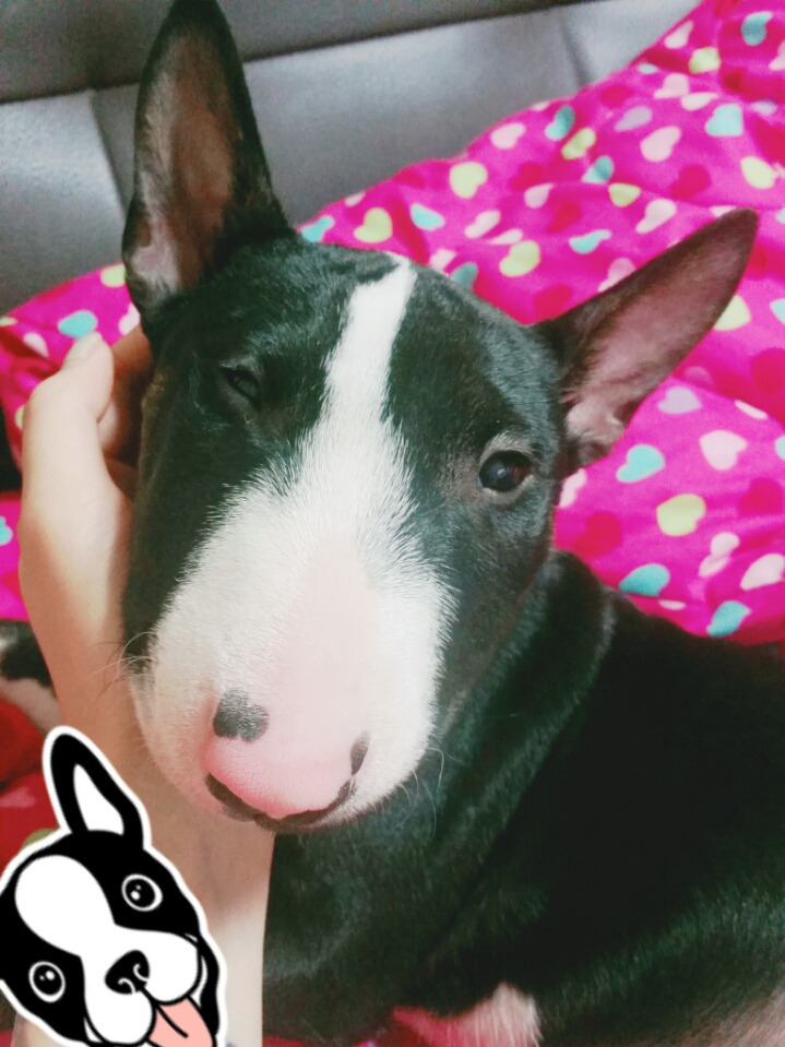 꽁쓰 이미지