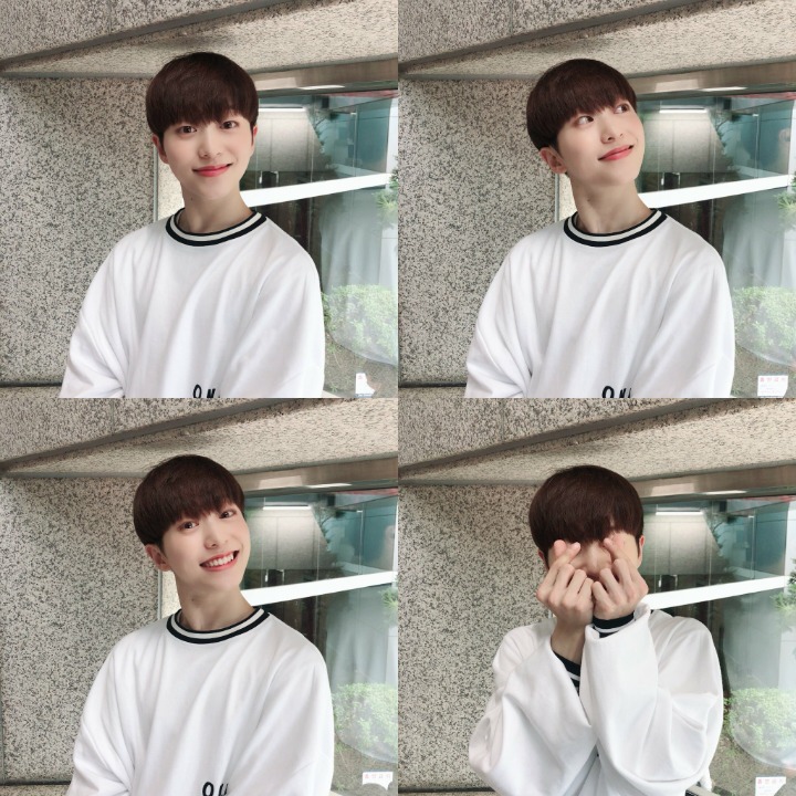 라운 이미지