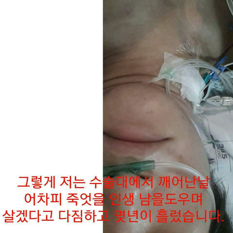 웃대에 올라온 엔터스의 실체!! | 인스티즈