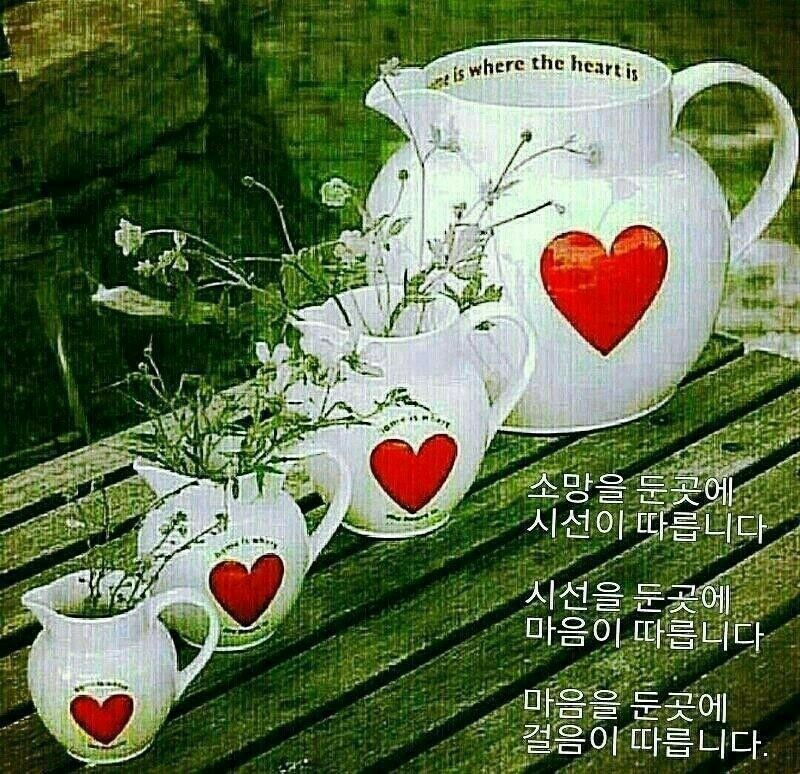 *****1072 이미지
