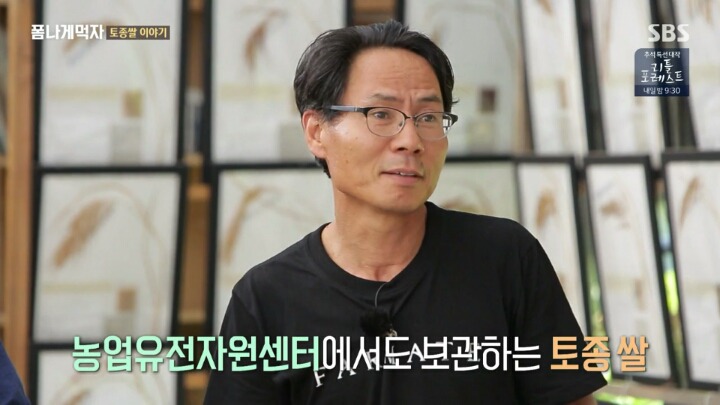 한반도의 토종 벼 품종.JPG | 인스티즈