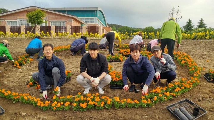 장성군체육회 이미지