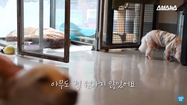  사람들이 홍대에서 인형을 뽑다 우는 이유는? | 인스티즈