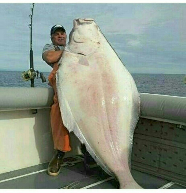 대*****물 이미지