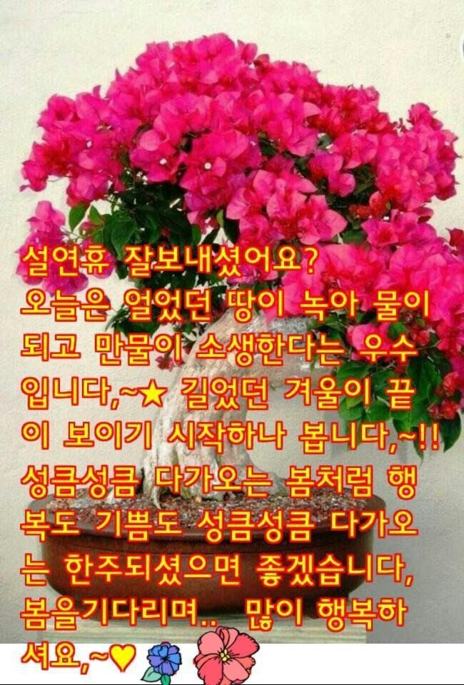행복한아침 이미지