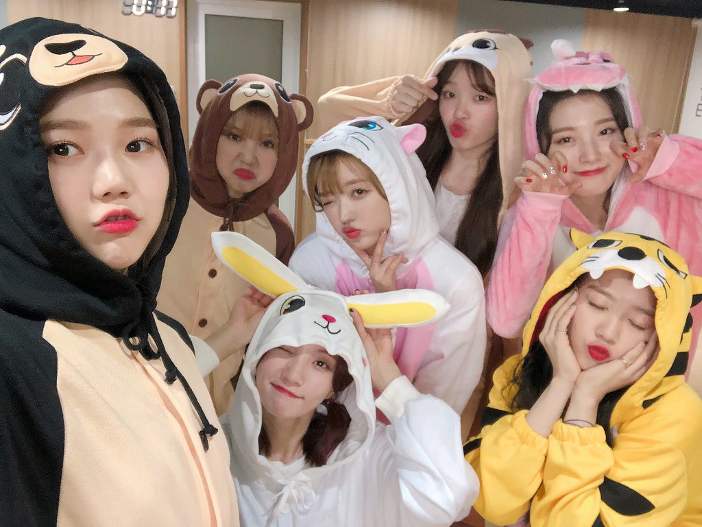 동물잠옷 입고 브이앱 방송한 오마이걸 | 인스티즈