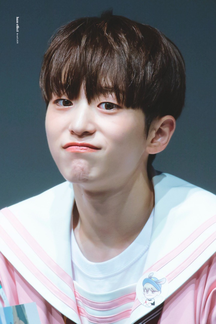 라운 이미지