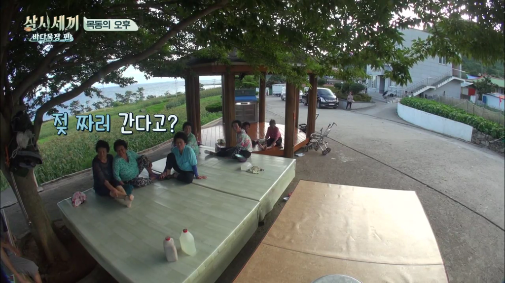 한지민을 물음표살인마로 만든 삼시세끼 역대급 비쥬얼 해신탕 | 인스티즈