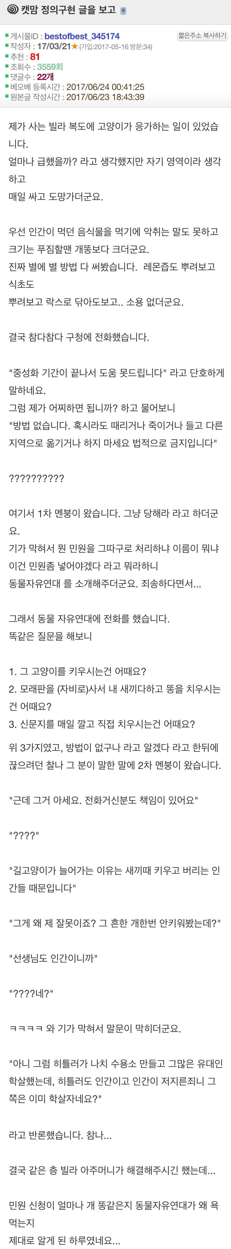 길고양이 때문에 민원 넣어본 썰 | 인스티즈