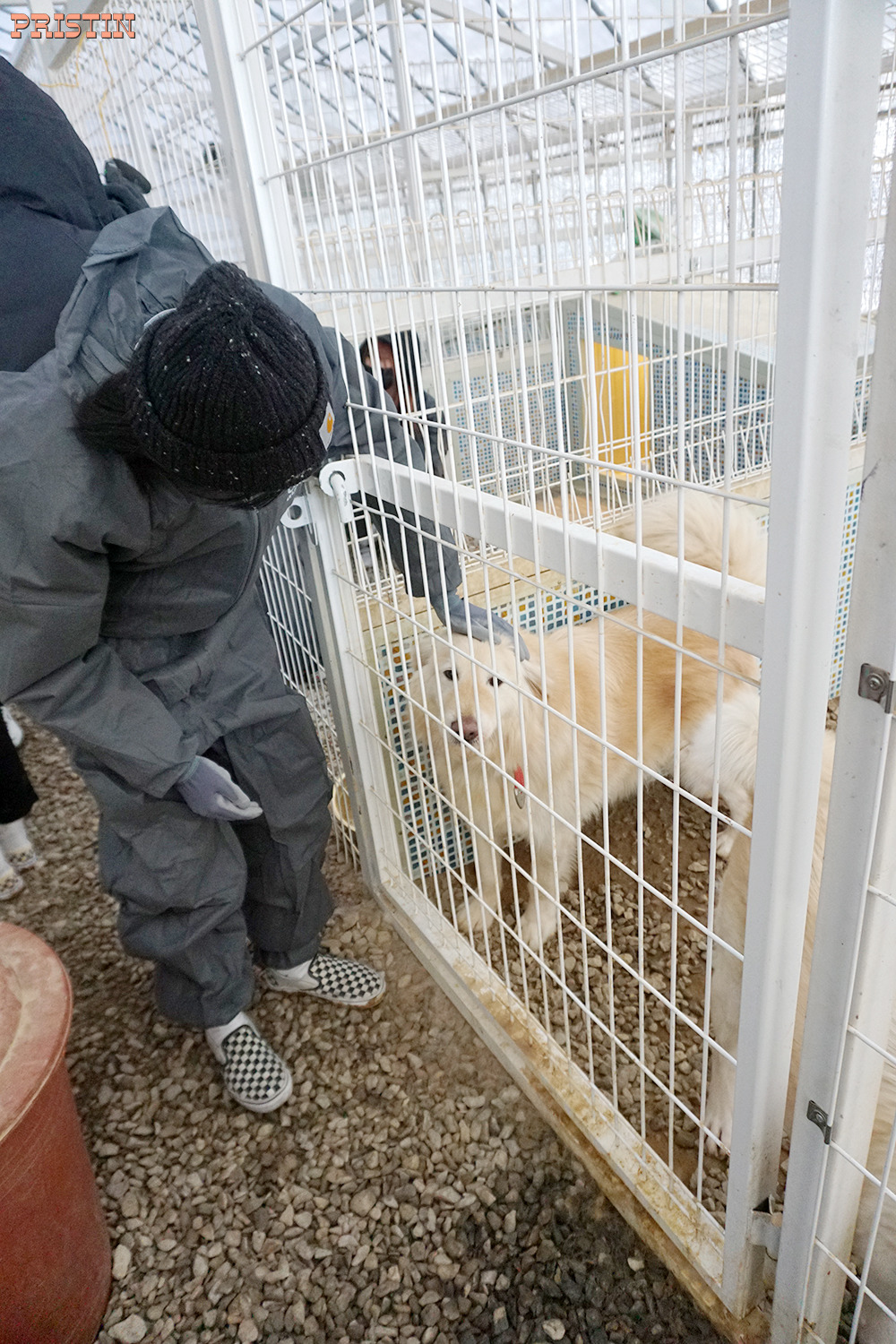 99C8373C5A796C9E18DC1A