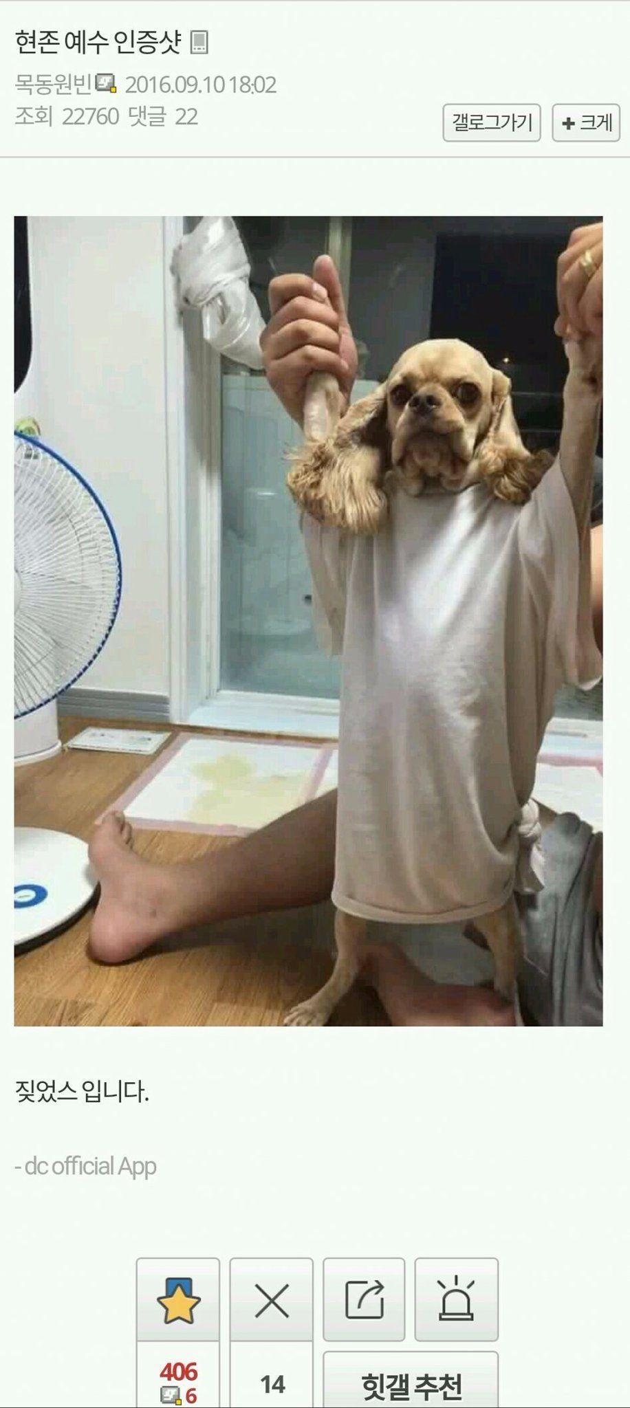 예수 인증샷 | 인스티즈