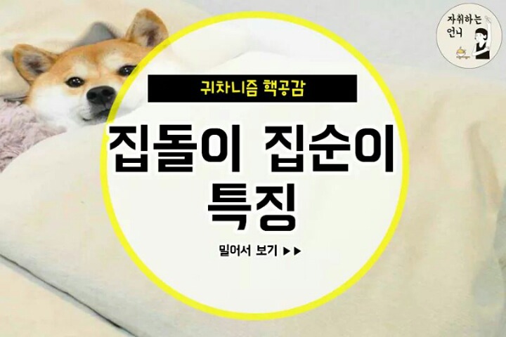 집돌이 집순이 특징.jpg | 인스티즈