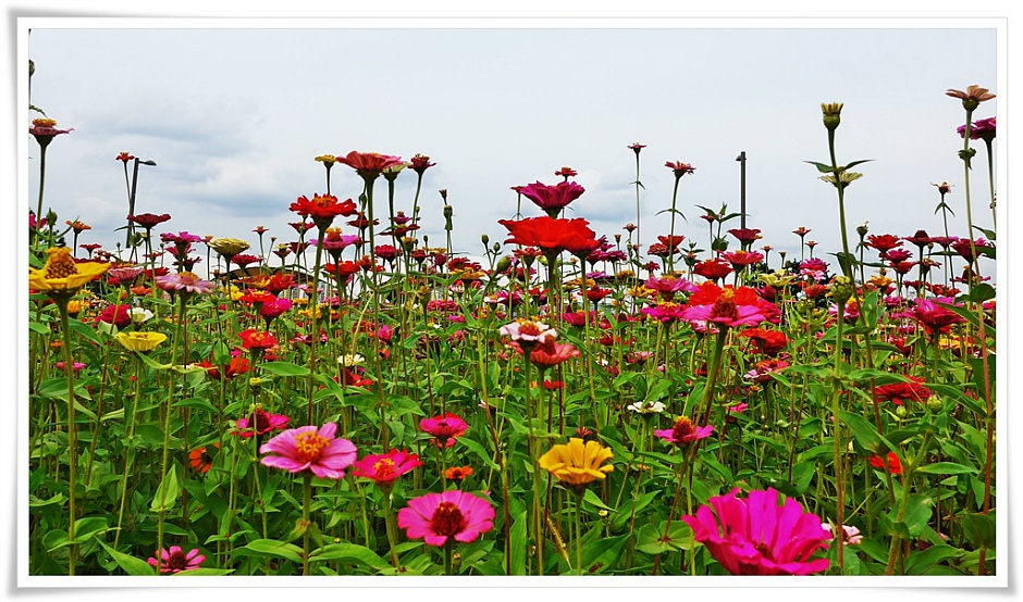 풍경화원 이미지