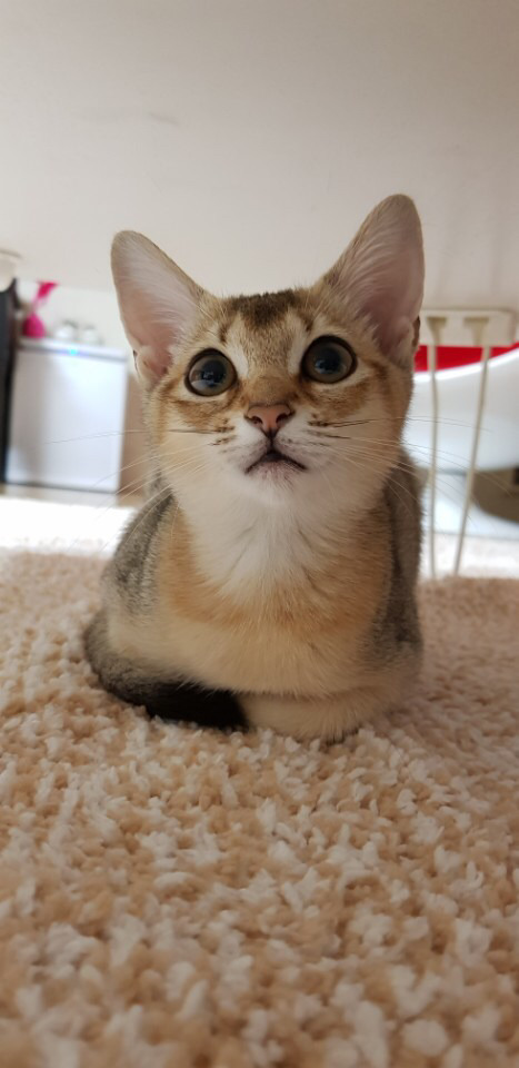 예뻐지는# 이미지