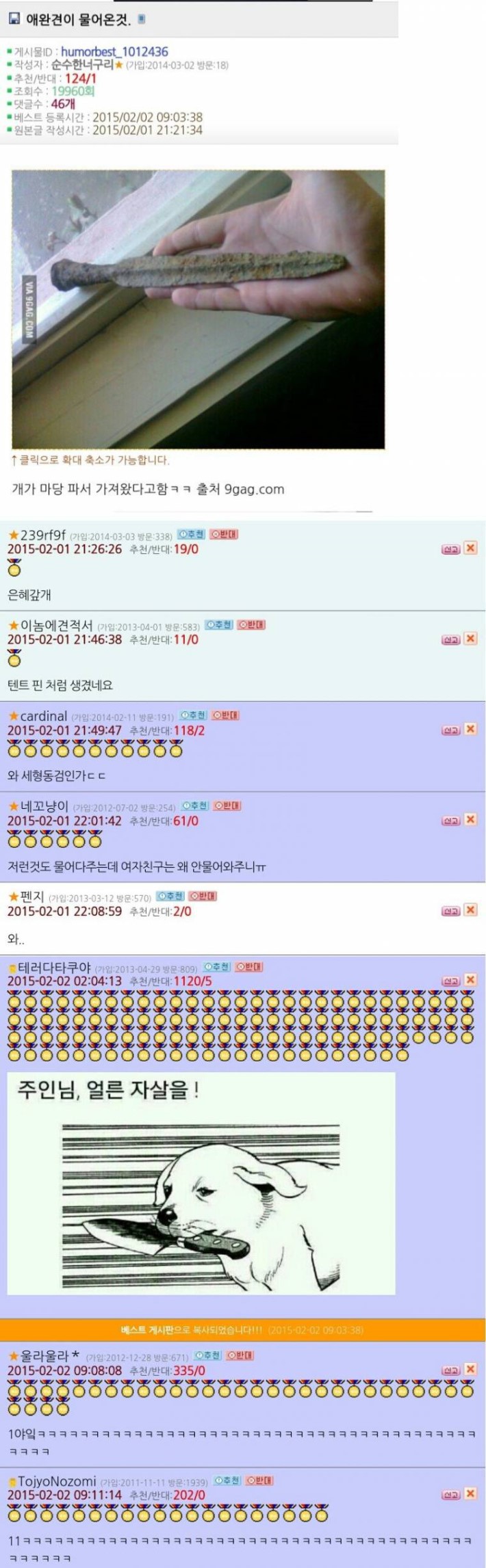 애완견이 물어 왔어요 | 인스티즈