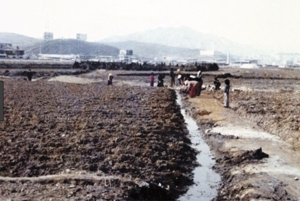 1970~80년대 서울 강남 사진.jpg | 인스티즈