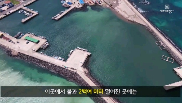 제주30대 캠핑여성 실종사건과 난민을 엮는 가로세로연구소.jpg | 인스티즈
