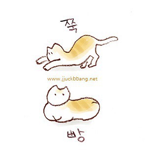 임신은 태아와 엄마의 치열한 생존경쟁이다 | 인스티즈
