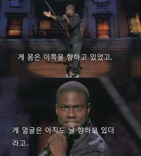 타조가 싫은 이유.jpg | 인스티즈