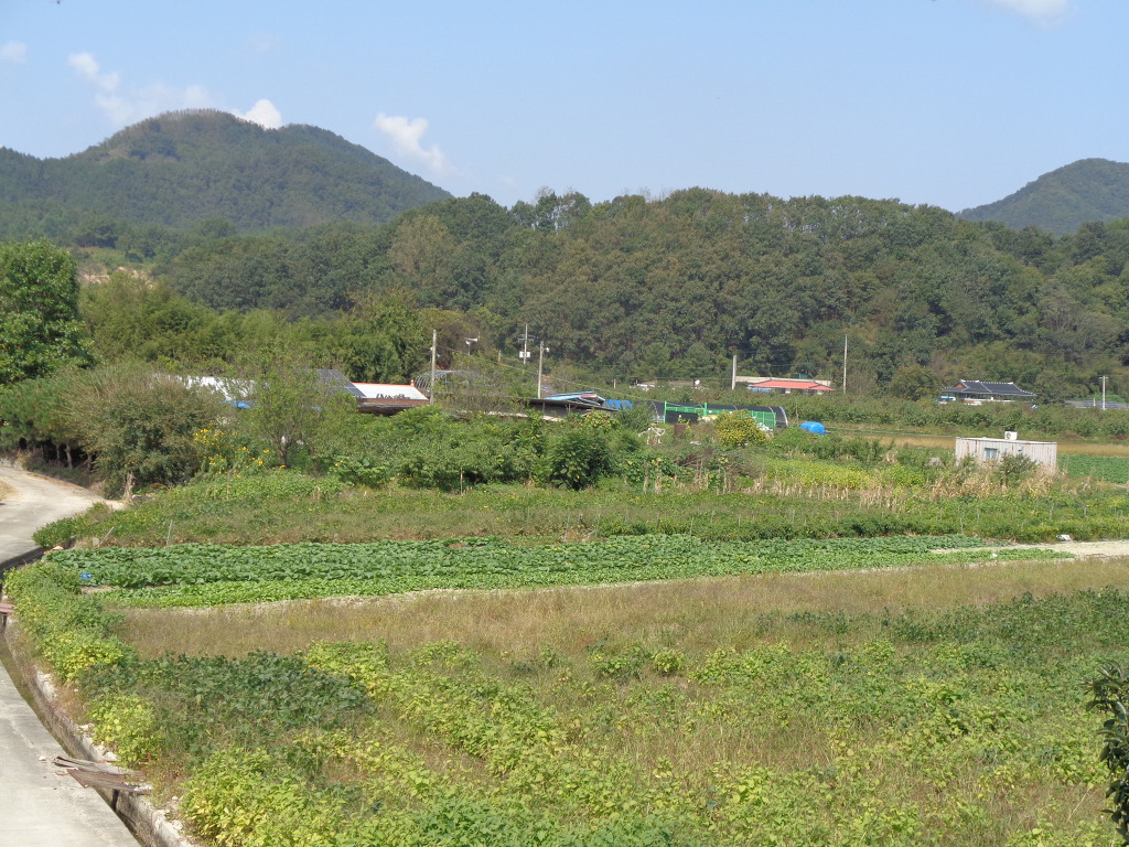 청산생선국수 이미지