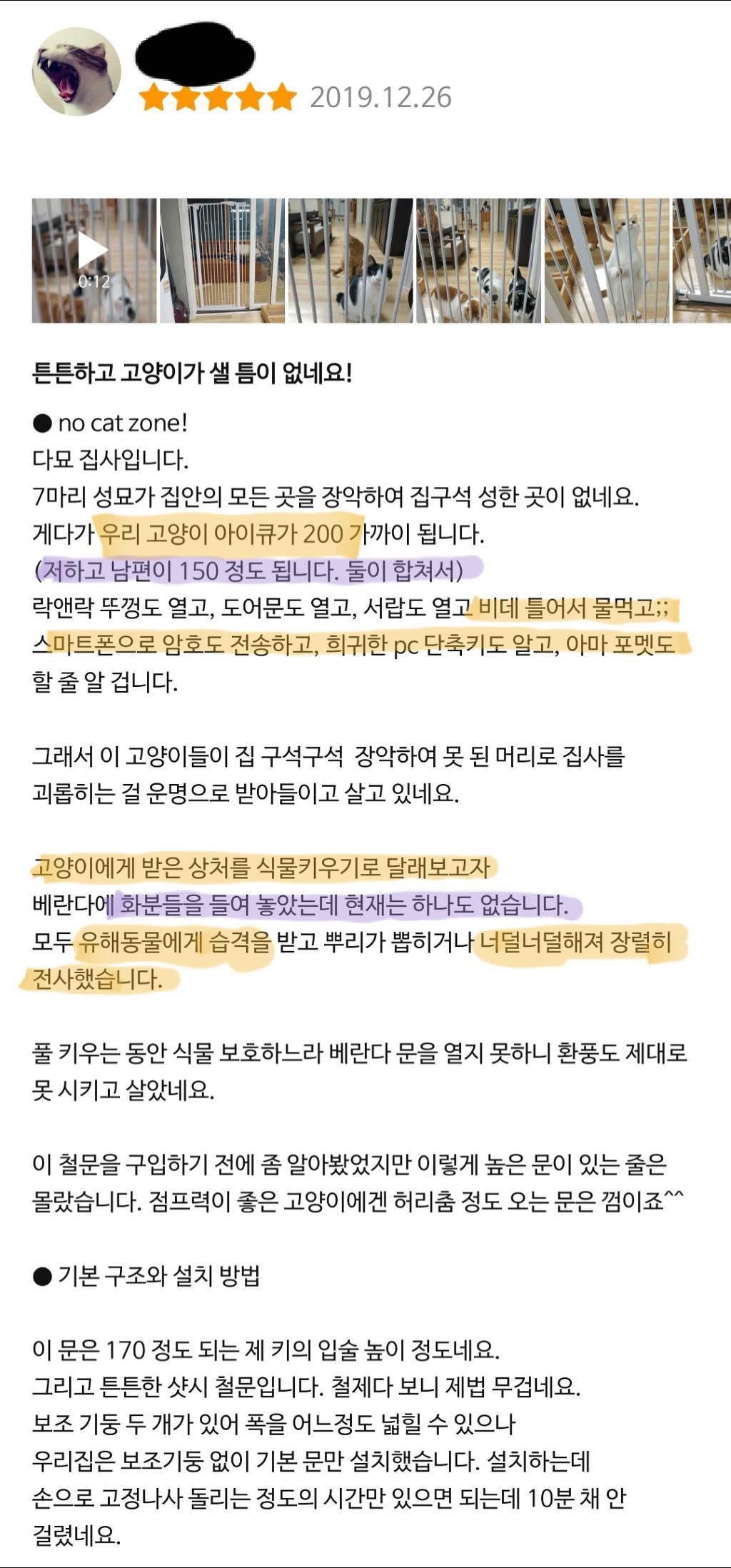 우리 고양이 아이큐가 200 가까이 됩니다 | 인스티즈