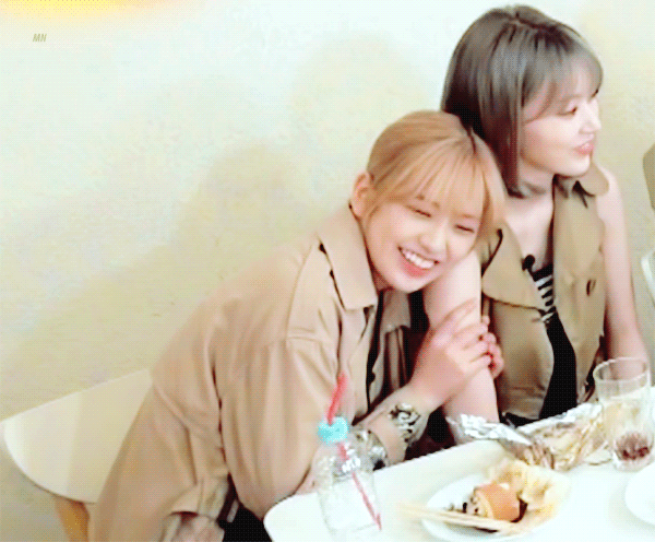 팔뚝살에 집착하는 댕댕이2 | 인스티즈