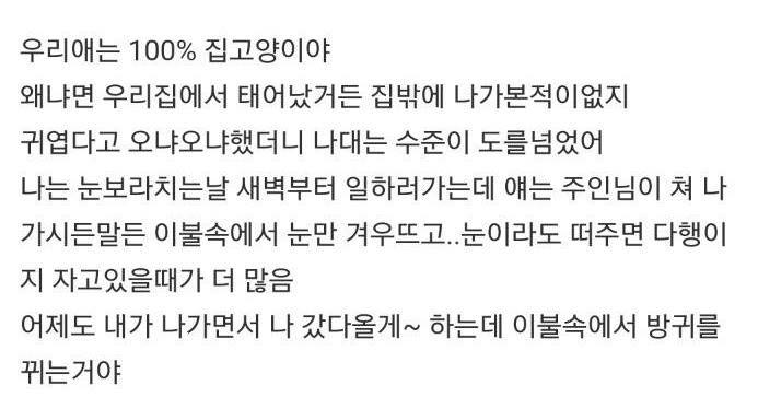 걔를 보다가 우리 애를 키우니까 너무 서럽고 힘들어.jpg | 인스티즈
